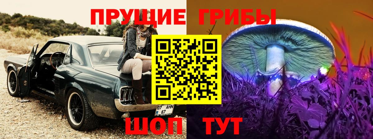 Псилоцибиновые грибы прущие грибы  Вход с VPN  Каменка  Псилоцибиновые грибы мухоморы 